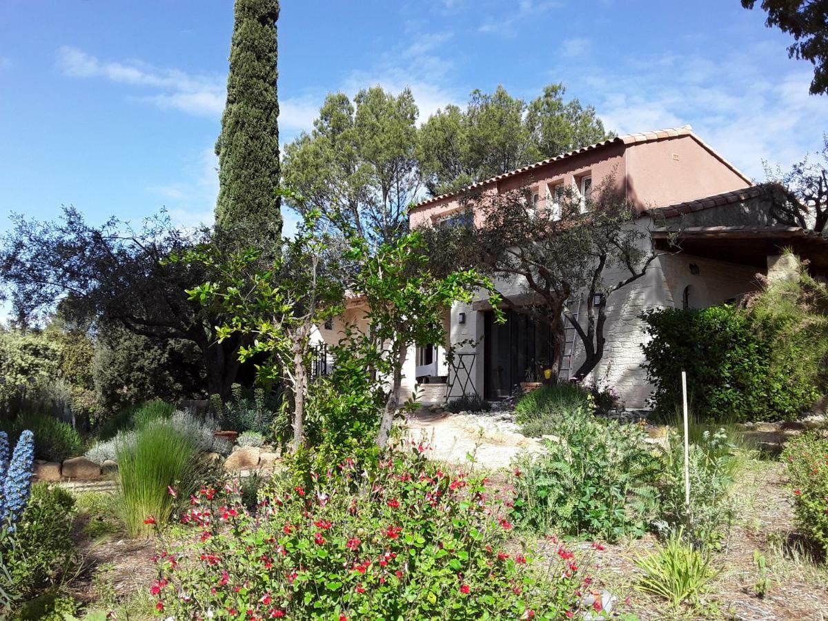 Bed and Breakfast L'Atelier à Saint-Maximin  Extérieur photo